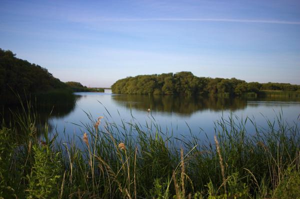 Denge Marsh - Sound Mirrors - June 2018
