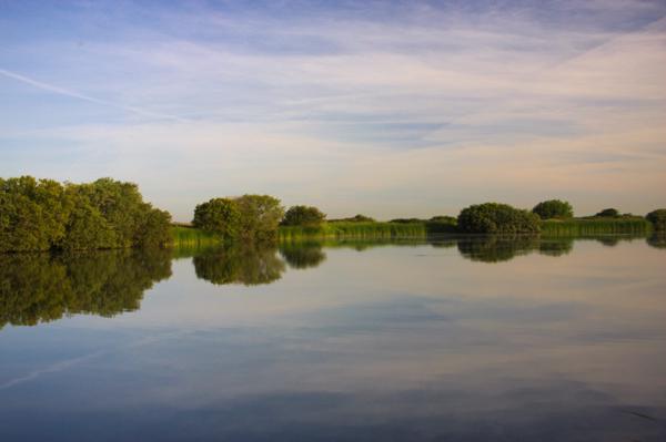 Denge Marsh - Sound Mirrors - June 2018