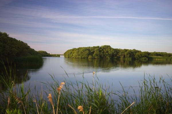 Denge Marsh - Sound Mirrors - June 2018