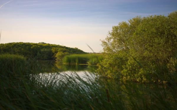 Denge Marsh - Sound Mirrors - June 2018