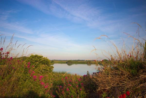 Denge Marsh - Sound Mirrors - June 2018