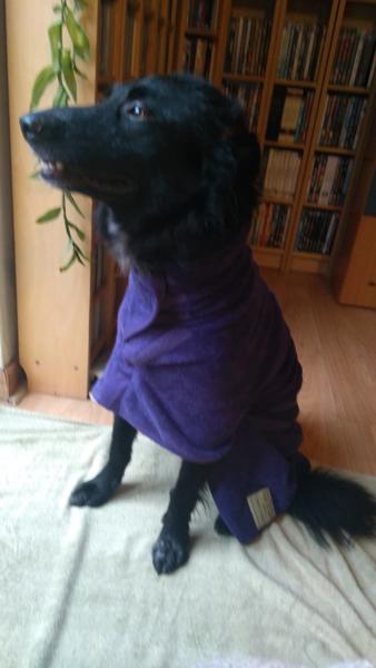 Franklin in his purple towle drying coat.