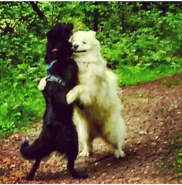 Franklin and Casper - Are you dancing?