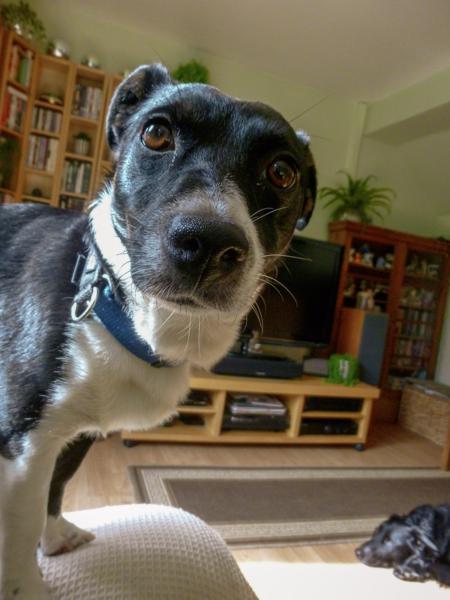 This. When I've cooked something he wants.