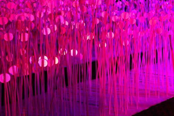 Held over four nights, 18th-21st January 2018, Lumiere London transformed six central London destinations into a vivid nocturnal art gallery. The festival attracted more than 1.5 million visits to 54 site-specific installations by international and UK artists from 14 different countries, many of which were completely new commissions.