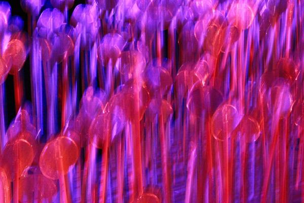 Held over four nights, 18th-21st January 2018, Lumiere London transformed six central London destinations into a vivid nocturnal art gallery. The festival attracted more than 1.5 million visits to 54 site-specific installations by international and UK artists from 14 different countries, many of which were completely new commissions.