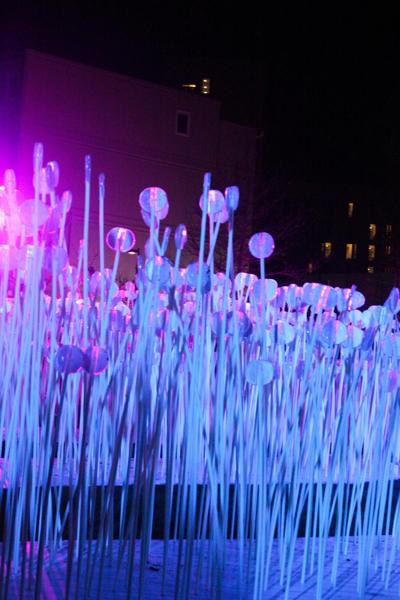 Held over four nights, 18th-21st January 2018, Lumiere London transformed six central London destinations into a vivid nocturnal art gallery. The festival attracted more than 1.5 million visits to 54 site-specific installations by international and UK artists from 14 different countries, many of which were completely new commissions.