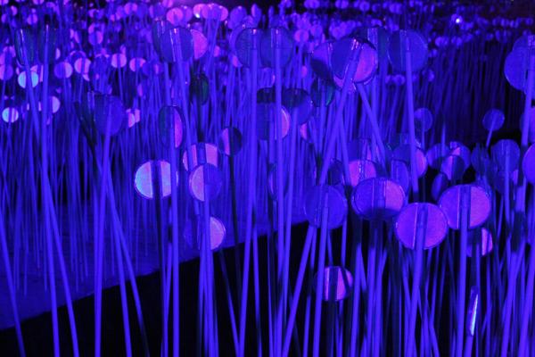 Held over four nights, 18th-21st January 2018, Lumiere London transformed six central London destinations into a vivid nocturnal art gallery. The festival attracted more than 1.5 million visits to 54 site-specific installations by international and UK artists from 14 different countries, many of which were completely new commissions.