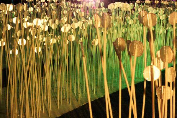 Held over four nights, 18th-21st January 2018, Lumiere London transformed six central London destinations into a vivid nocturnal art gallery. The festival attracted more than 1.5 million visits to 54 site-specific installations by international and UK artists from 14 different countries, many of which were completely new commissions.