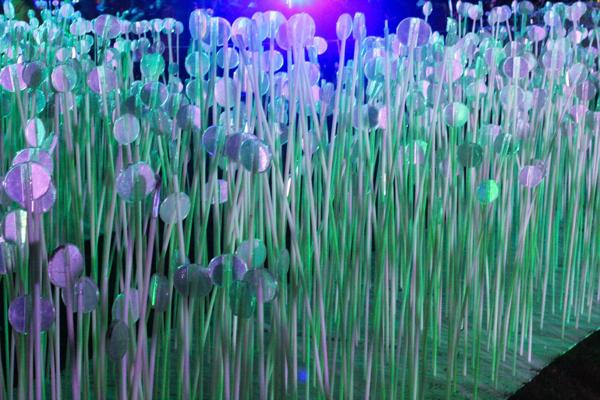 Held over four nights, 18th-21st January 2018, Lumiere London transformed six central London destinations into a vivid nocturnal art gallery. The festival attracted more than 1.5 million visits to 54 site-specific installations by international and UK artists from 14 different countries, many of which were completely new commissions.