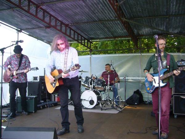 Ocelot at Chalfont and Latimer