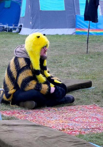 Tired and cold bee. Cosmic Puffin.