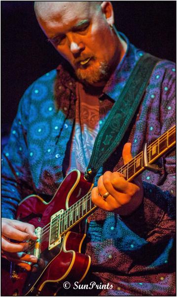 Ocelot - Flag Watford