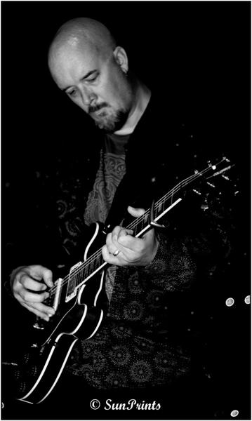 Ocelot at the Flag in Watford