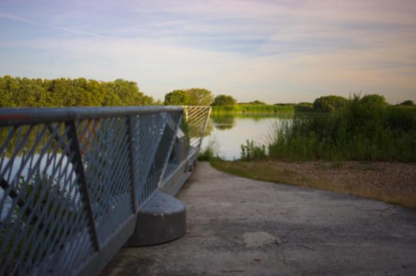 Denge Marsh - Sound Mirrors - June 2018