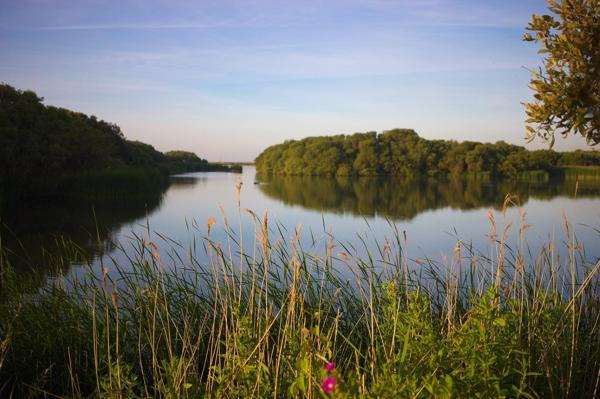 Denge Marsh - Sound Mirrors - June 2018