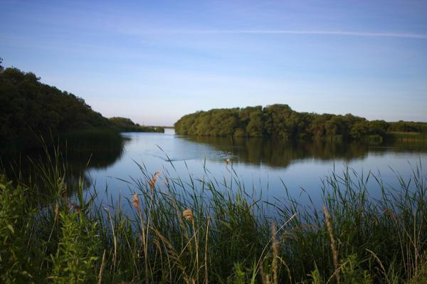 Denge Marsh - Sound Mirrors - June 2018