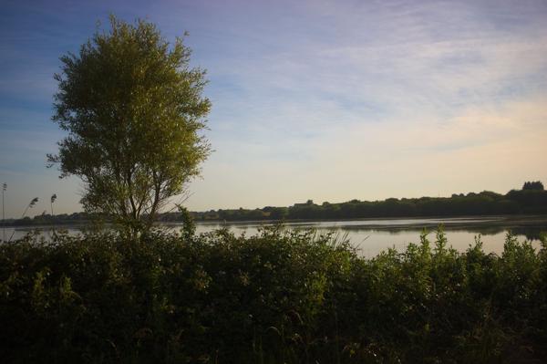 Denge Marsh - Sound Mirrors - June 2018