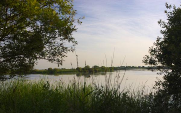 Denge Marsh - Sound Mirrors - June 2018