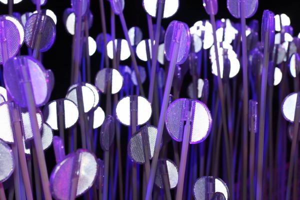 King's Cross Lumiere - 2018